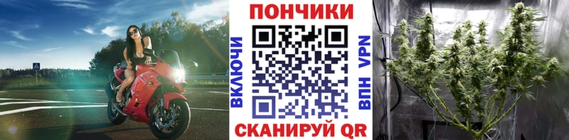 Купить наркотики Сосногорск ГАШИШ Псилоцибиновые грибы Мефедрон